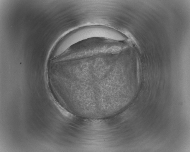 X0000068741072200605192339