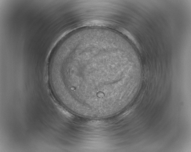 X0000068741075200605192339