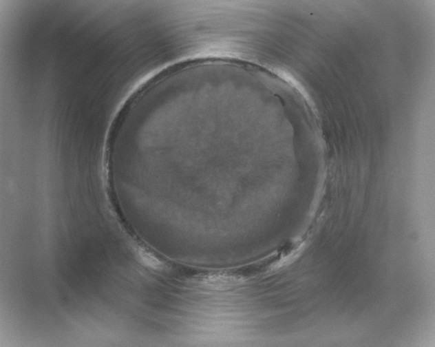 X0000068741077200605192339