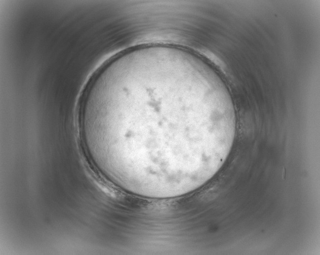 X0000068741078200605192339