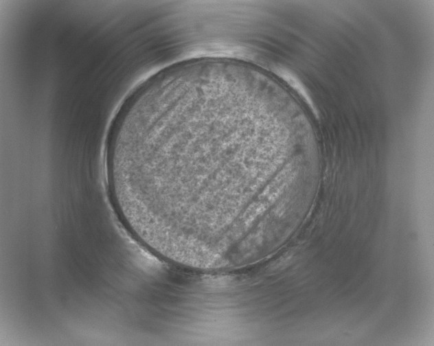 X0000068741080200605192339