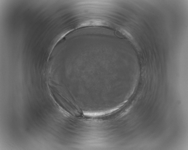 X0000068741081200605192339