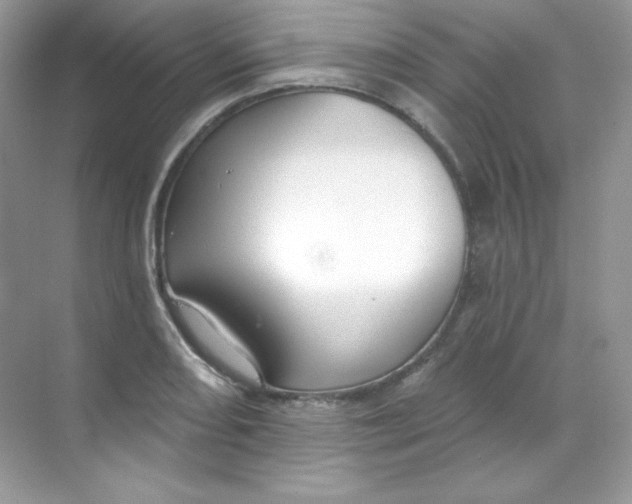 X0000068741082200605192339