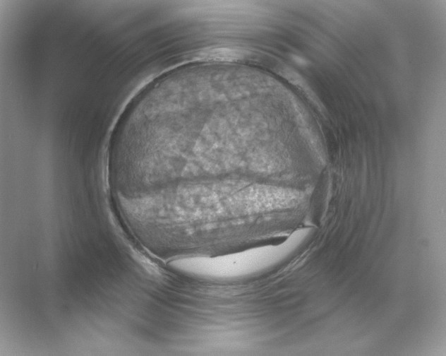 X0000068741083200605192339