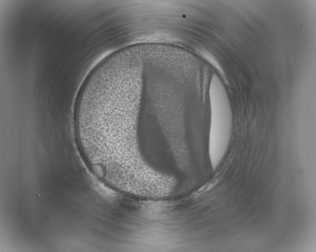 X0000068741087200605192339