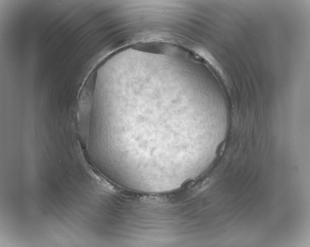 X0000068741089200605192339