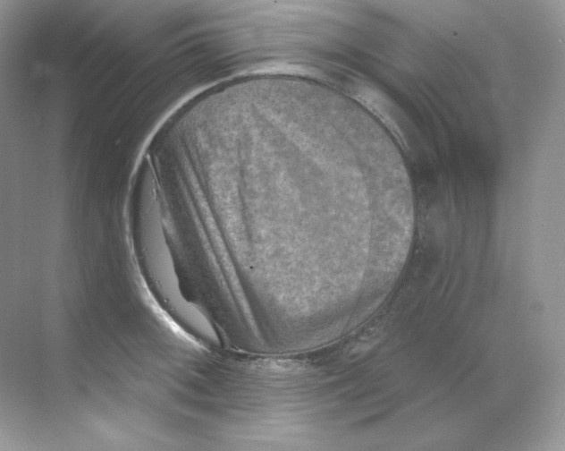 X0000068741092200605192339