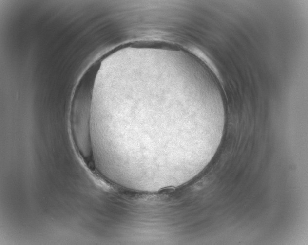 X0000068741093200605192339