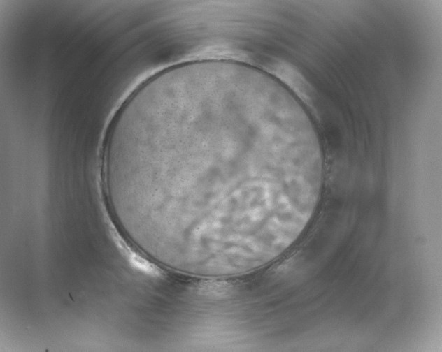 X0000068741094200605192339