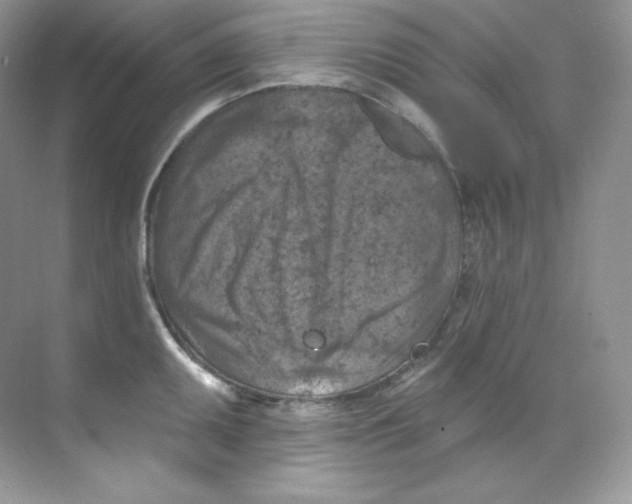 X0000068741095200605192339