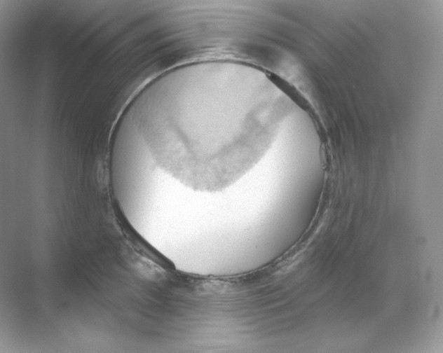 X0000068741097200605192338