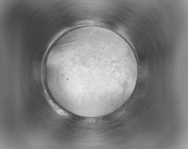 X0000068741098200605192338