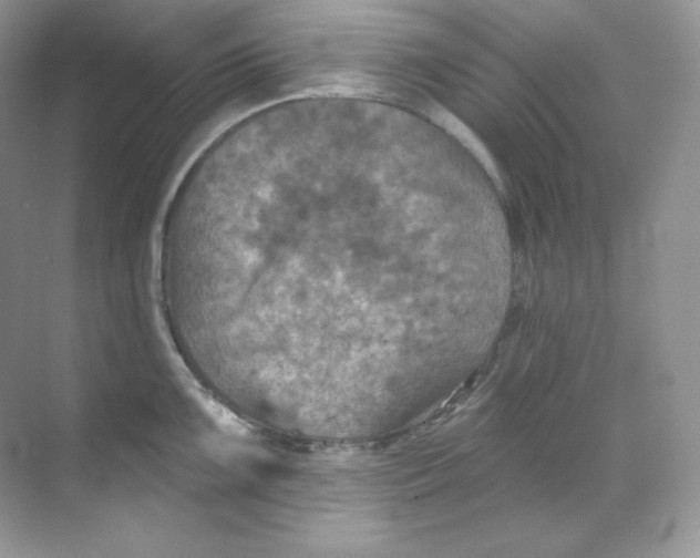 X0000068741099200605192338