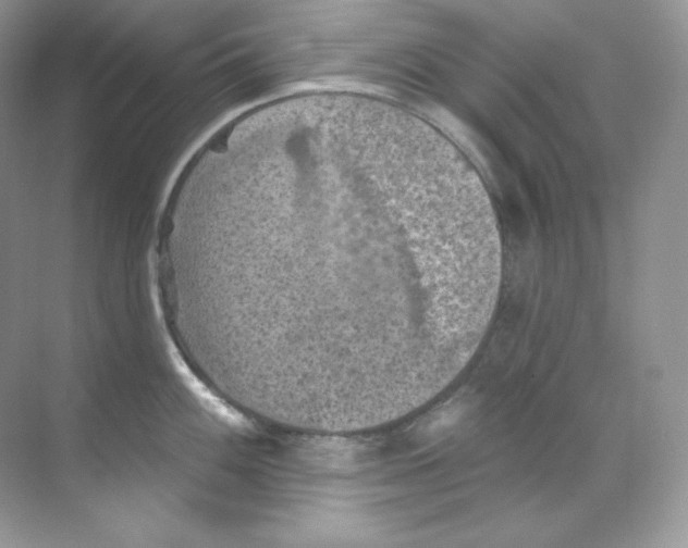 X0000068741100200605192338