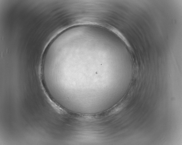 X0000068741101200605192338