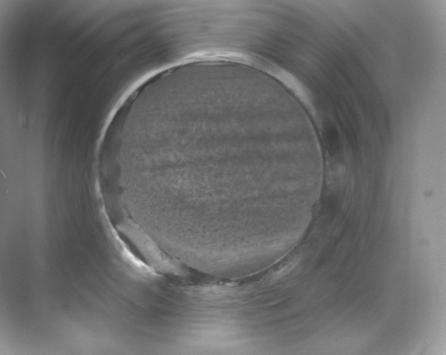 X0000068741102200605192338