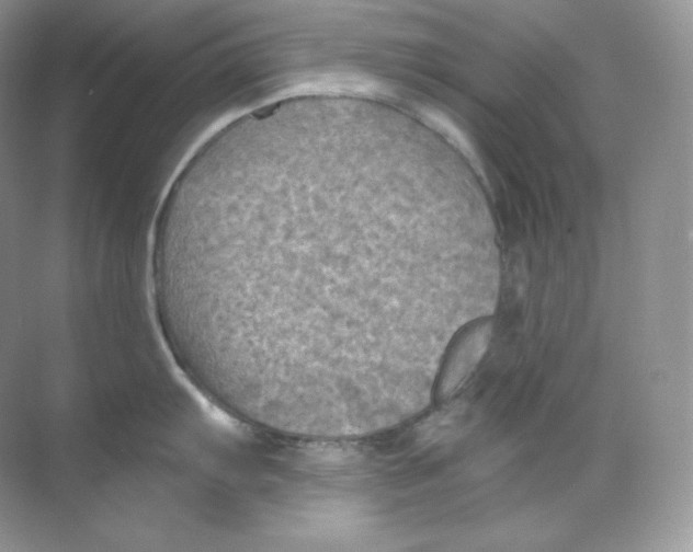 X0000068741103200605192338