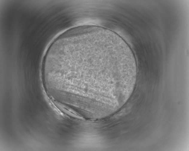 X0000068741104200605192338