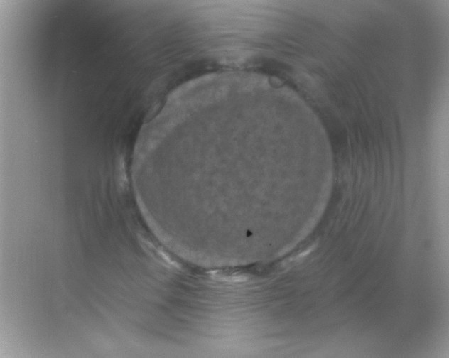 X0000068741106200605192338