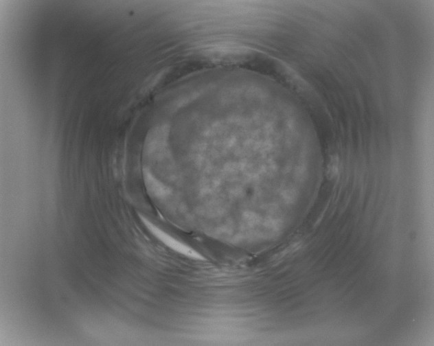 X0000068741108200605192338