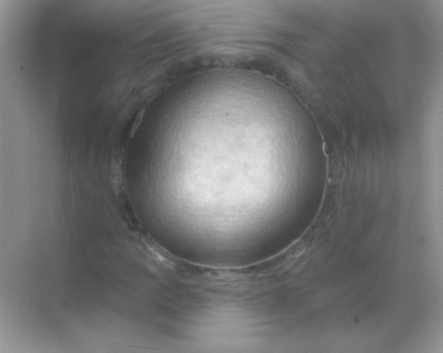 X0000068741109200605192338