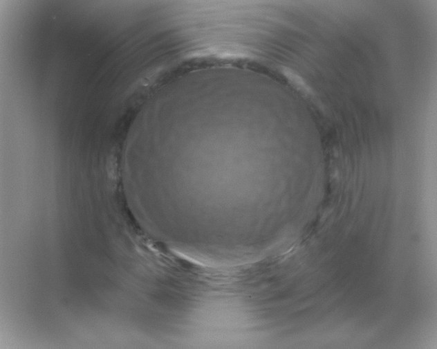 X0000068741110200605192338