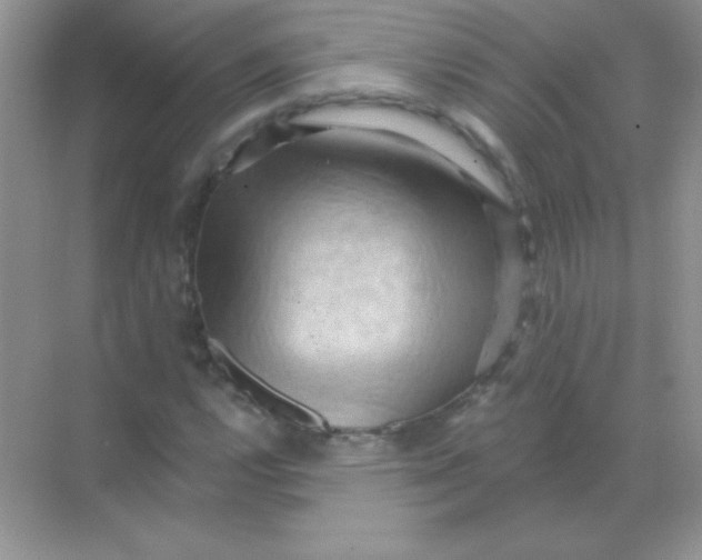 X0000068741112200605192338