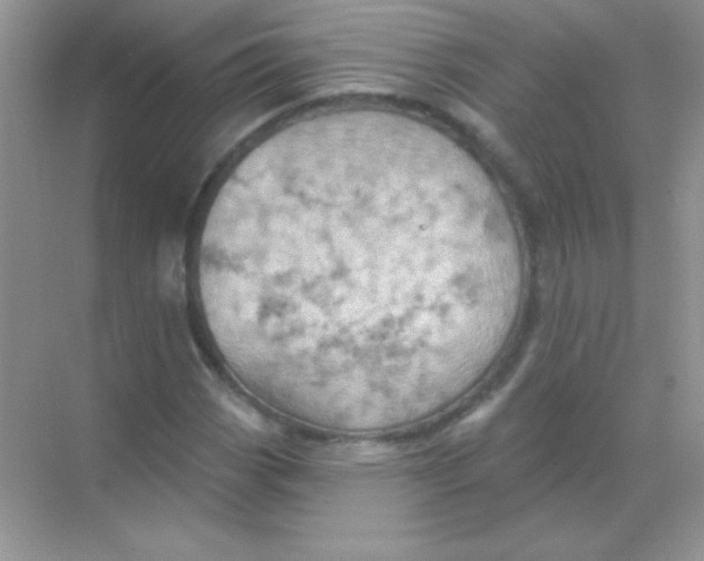 X0000068741113200605192338