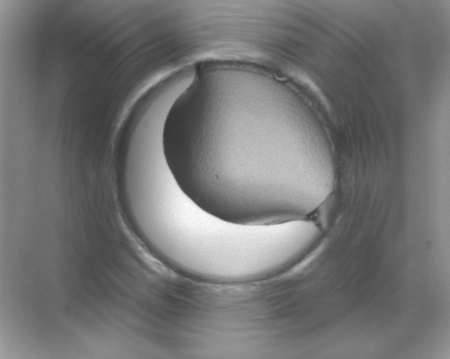 X0000068741114200605192338