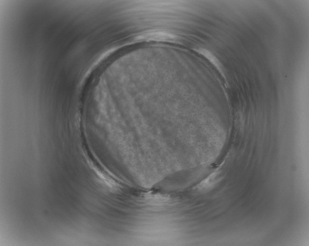 X0000068741115200605192338