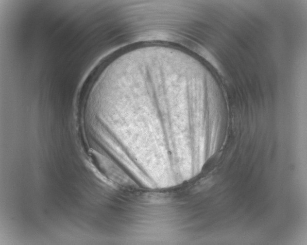 X0000068741116200605192338