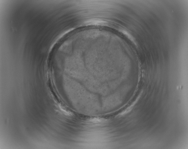 X0000068741117200605192338