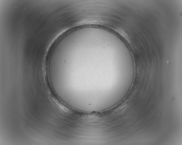 X0000068741119200605192338