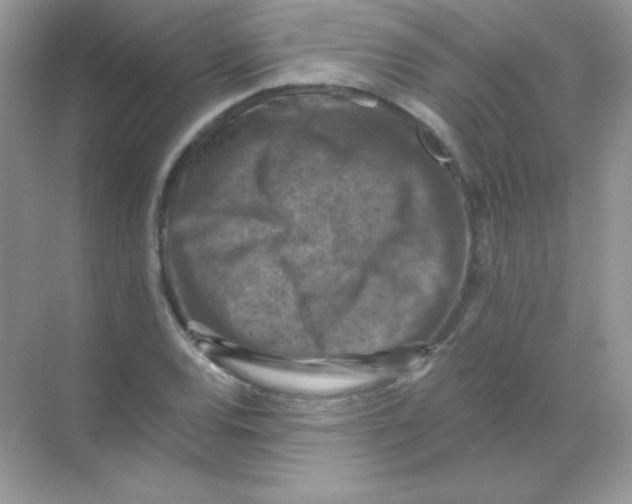 X0000068741120200605192338