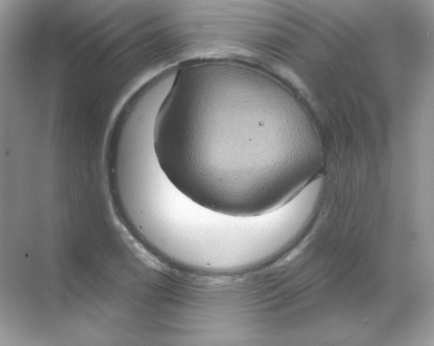 X0000068741122200605192338