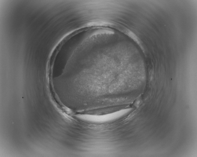 X0000068741124200605192338