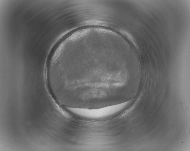 X0000068741125200605192338