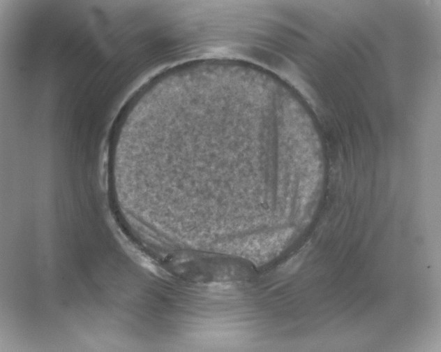 X0000068741126200605192338