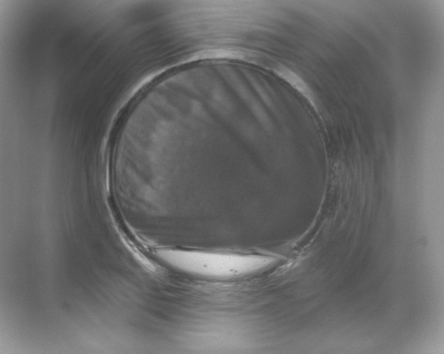 X0000068741127200605192338