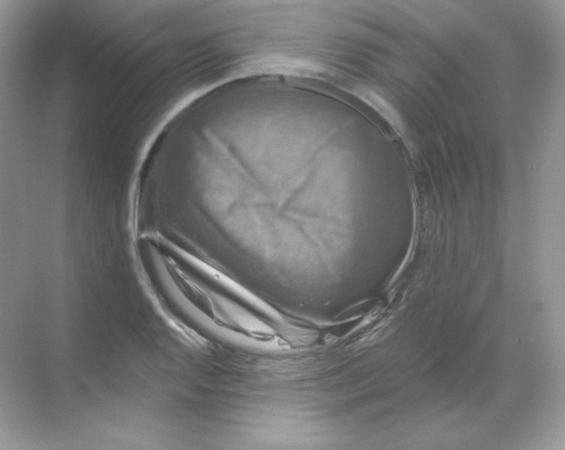 X0000068741128200605192338