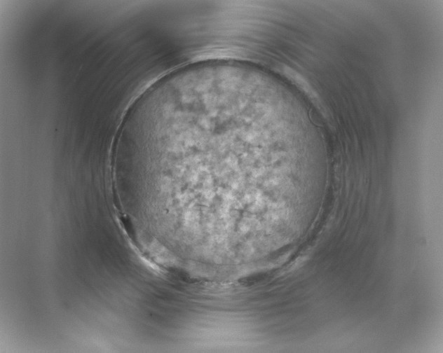 X0000068741129200605192338