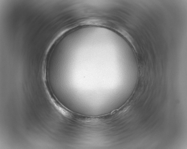 X0000068741131200605192338