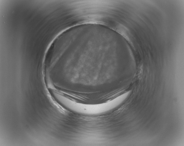 X0000068741132200605192338