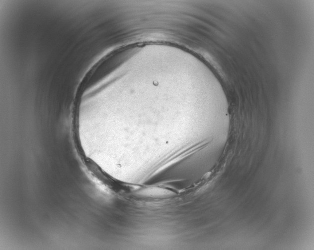 X0000068741134200605192338