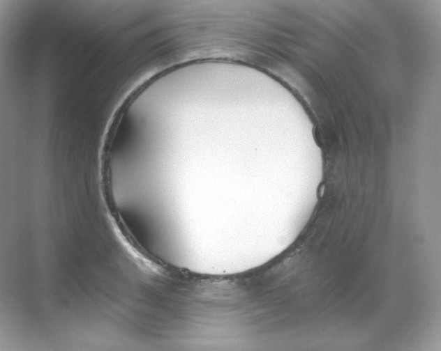 X0000068741135200605192338