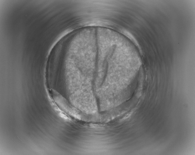 X0000068741138200605192338