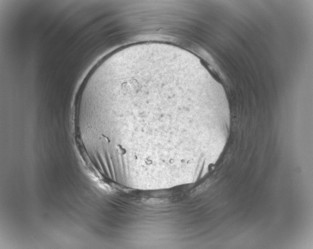 X0000068741140200605192338