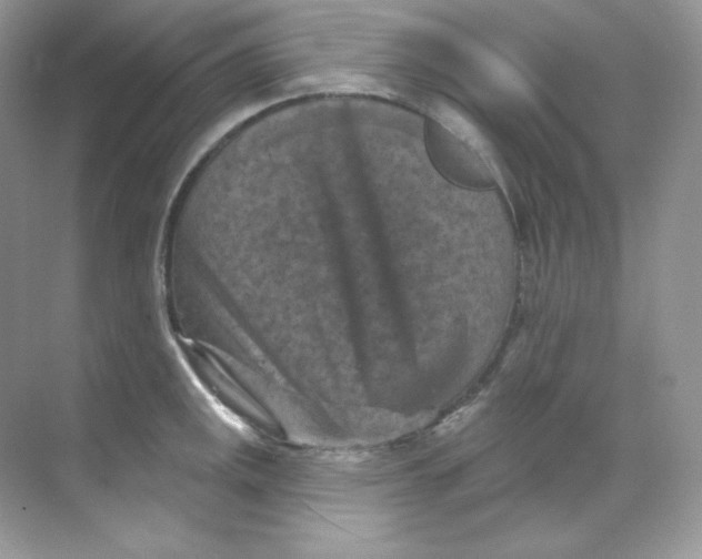 X0000068741141200605192338