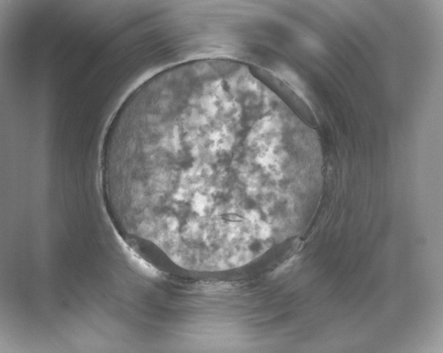 X0000068741143200605192338