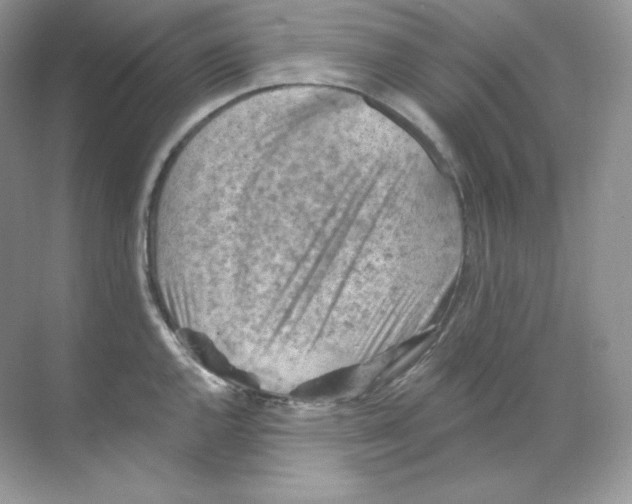 X0000068741144200605192338